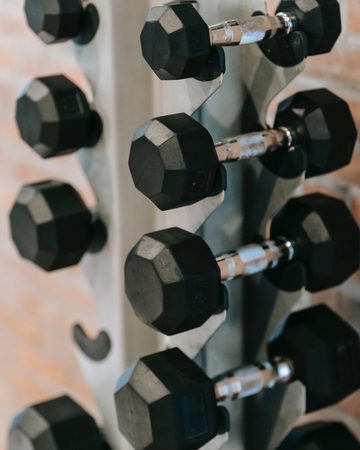 dumbbells on a rack in the gym