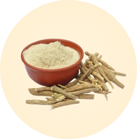 ashwagandha roots dried up as well as ground powder in a bowl