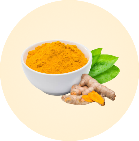 ground up curcumin powder in a bowl along with roots and leaves