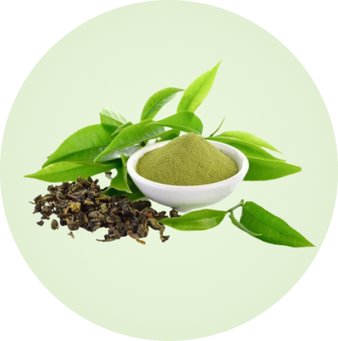 green tea leaves and powder and dried up leaves